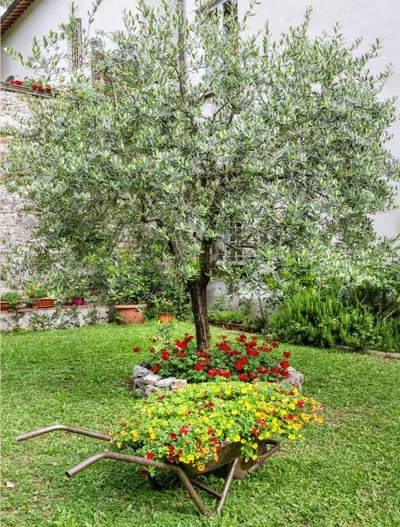 Casa Diocesana di Lucca – 照片 11